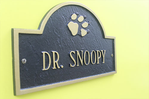 Pediatric Dentist Photo Gallery