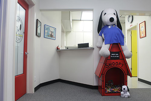 Pediatric Dentist Photo Gallery