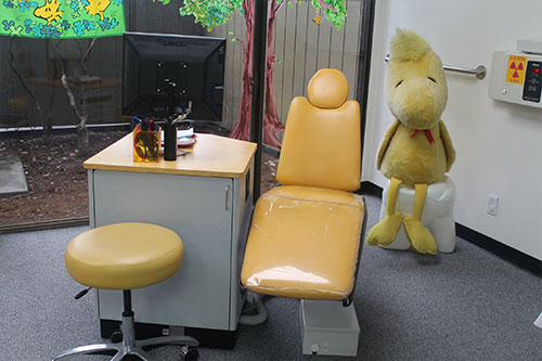 Pediatric Dentist Photo Gallery