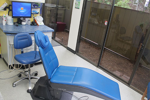 Pediatric Dentist Photo Gallery